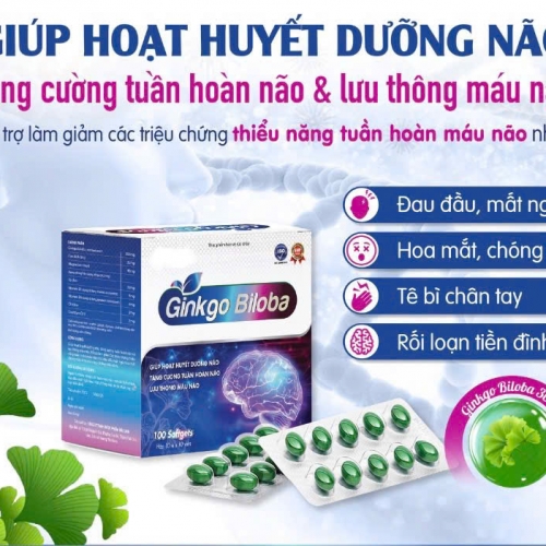 VIÊN UỐNG BỔ NÃO GINKGO BILOBA., HỘP 100 VIÊN. GIÚP GIẢM HOA MẮT, CHÓNG MẶT, TÊ BÌ CHÂN TAY, RỐI LOẠN TIỀN ĐÌNH,..