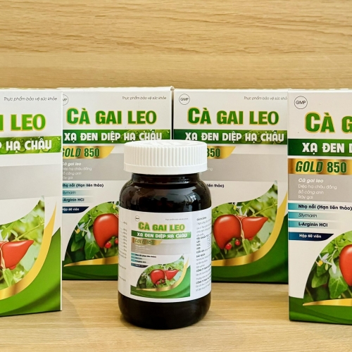 VIÊN UỐNG BỔ GAN CÀ GAI LEO XẠ ĐEN DIỆP HẠ CHÂU GOLD 850, LỌ 60 VIÊN. GIÚP GIẢI ĐỘC, MÁT GAN, VÀNG DA, MẨN NGỨA, MỀ ĐAY,...DO GAN YẾU