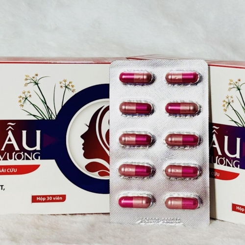 VIÊN UỐNG GIÚP ĐIỀU HÒA KINH NGUYỆT ÍCH MẪU VƯƠNG, GIẢM ĐAU BỤNG KHI HÀNH KINH. HỘP 30 VIÊN