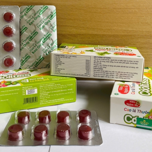 KẸO NGẬM GIẢM HO CAO LÁ THƯỜN XUÂN COOLTUSS - KEO ONG, LA HÁN QUẢ, HỘP 24 VIÊN. GIÚP GIẢM HO, GIẢM ĐAU HỌNG, VIÊM PHÉ QUẢN