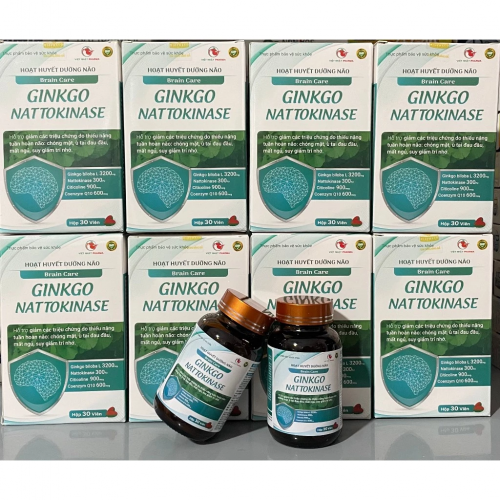 HOẠT HUYẾT DƯỠNG NÃO GINKGO NATTOKINASE HỖ TRỢ GIẢM CHÓNG MẶT , Ù TAI ĐAU ĐẦU, MẤT NGỦ, SUY GIẢM TRÍ NHỚ