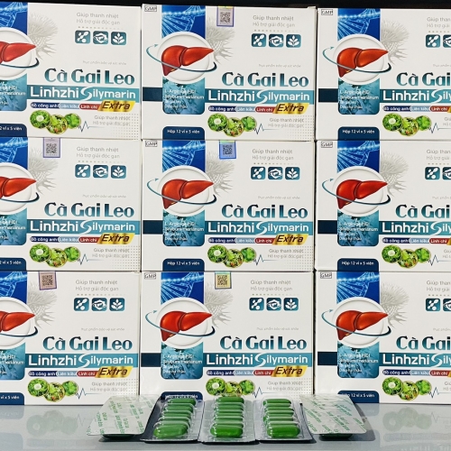 VIẾN UỐNG BỔ GAN CÀ GAI LEO LINHZHI SILYMARIN. GIÚP THANH NHIỆT, GIẢI ĐỘC GAN, MỀ ĐAY, MẨN NGỨA, MỤT NHỌT,...
