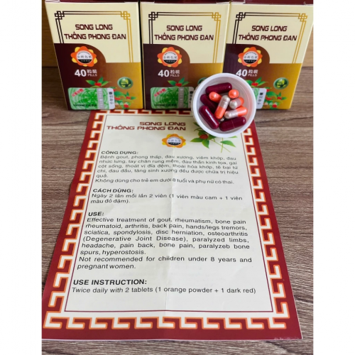 CHUẨN LOẠI 1. SONG LONG THỐNG PHONG ĐAN, LỌ 40 VIÊN, TEM XANH. GIÚP GIẢM ĐAU XƯƠNG KHỚP