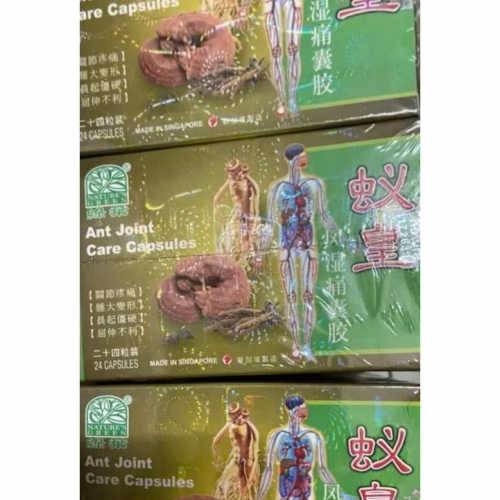 CHUẨN LOẠI 1. KIỆN BỘ HỘ THÔNG MẠCH SINGAPORE - ANT JOINT CARE CAPSULES, HỘP VĨ 24 VIÊN.