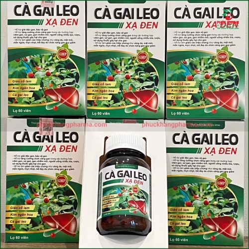 VIÊN UỐNG CÀ GAI LEO XẠ ĐEN - HỖ TRỢ GIẢI ĐỘC GAN, BẢO VỆ GAN, TĂNG CƯỜNG CHỨC NĂNG GAN - Lọ 60 VIÊN