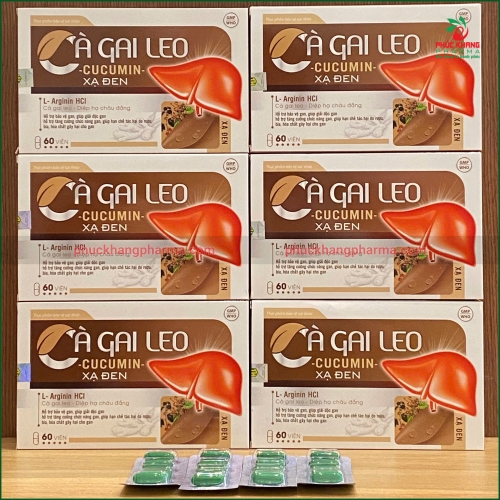 CÀ GAI LEO CUCUMIN XẠ ĐEN – VIÊN UỐNG HỖ TRỢ BẢO VỆ GAN, GIẢI ĐỘC GAN, TĂNG CƯỜNG CHỨC NĂNG GAN, HẠN CHẾ TÁC HẠI CỦA RƯỢU BIA – HỘP 60 VIÊN