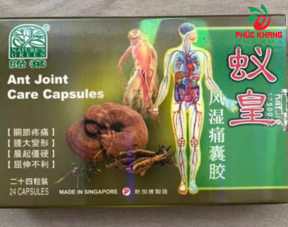 Giới thiệu về sản phẩm Viên Xương Khớp Kiện Bộ Hộ Thông Mạch Singapore - Ant Joint Care Capsules