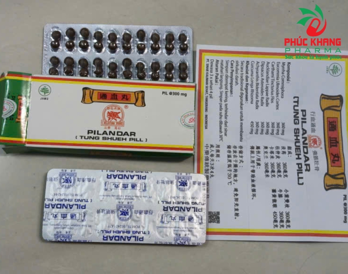Giới thiệu về sản phẩm Viên Xương Khớp Pil Andar (Tung Shueh Pill)
